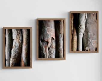 Eucalyptus Tree Bark Prints – Australian Nature Triptych Wall Art (Digital Download)