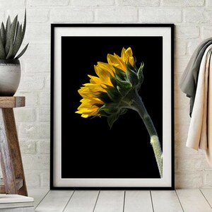 Printable Sunflower Wall Art downloadable Floral Print - Etsy