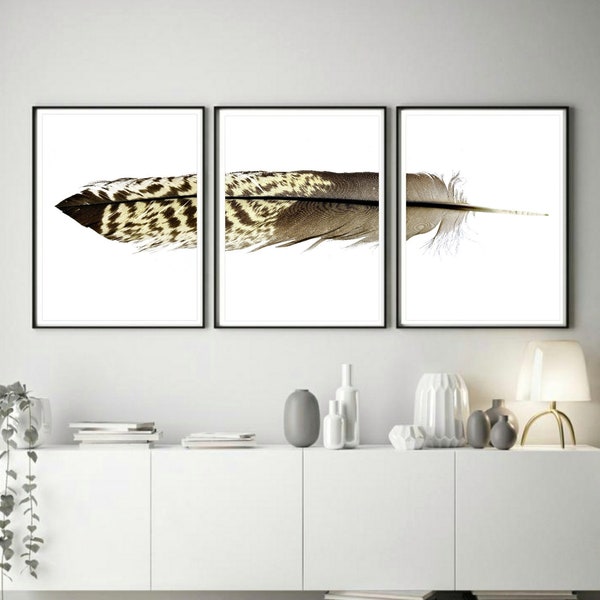 Printable Set of 3 Feather Prints ~ Downloadable Australian Black Cockatoo Feather Photography Triptych- Large Wall Art ~ Earthy Decor
