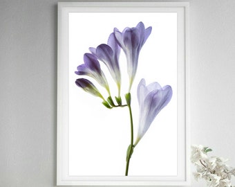 Printable Purple Freesia Flowers Art ~ Downloadable Floral Print ~ Still Life Botanical Artwork ~ Instant Digital Download