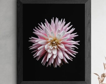 Pink Dahlia Flower Photography Print: Pastel Floral Wall Art (Digital Download)