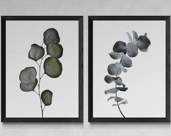 Eucalyptus Leaves Printable Set Of 2 ~ Downloadable Australian Native Plant Photos ~ Digital Download