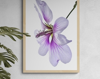 Purple Hibiscus Flower Photo Print – Minimalist Floral Wall Art (Digital Download)