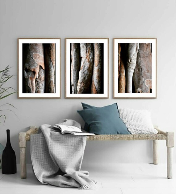 Set of 3 Printable Tree Bark Photos Downloadable Abstract - Etsy