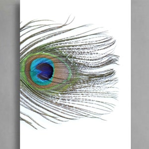 Set of 3 Downloadable Peacock Feather Prints Printable - Etsy