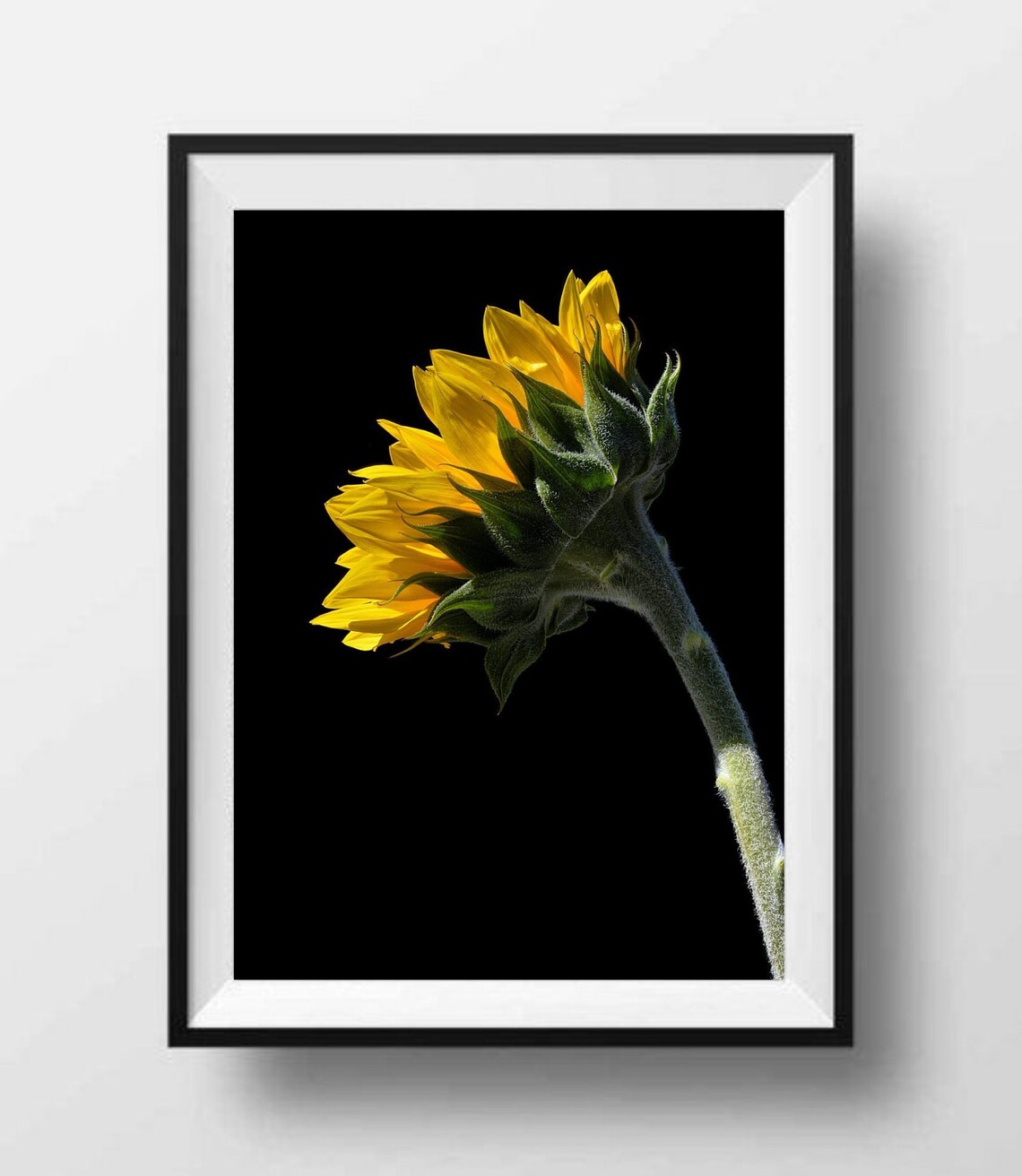 Printable Sunflower Wall Art downloadable Floral Print - Etsy
