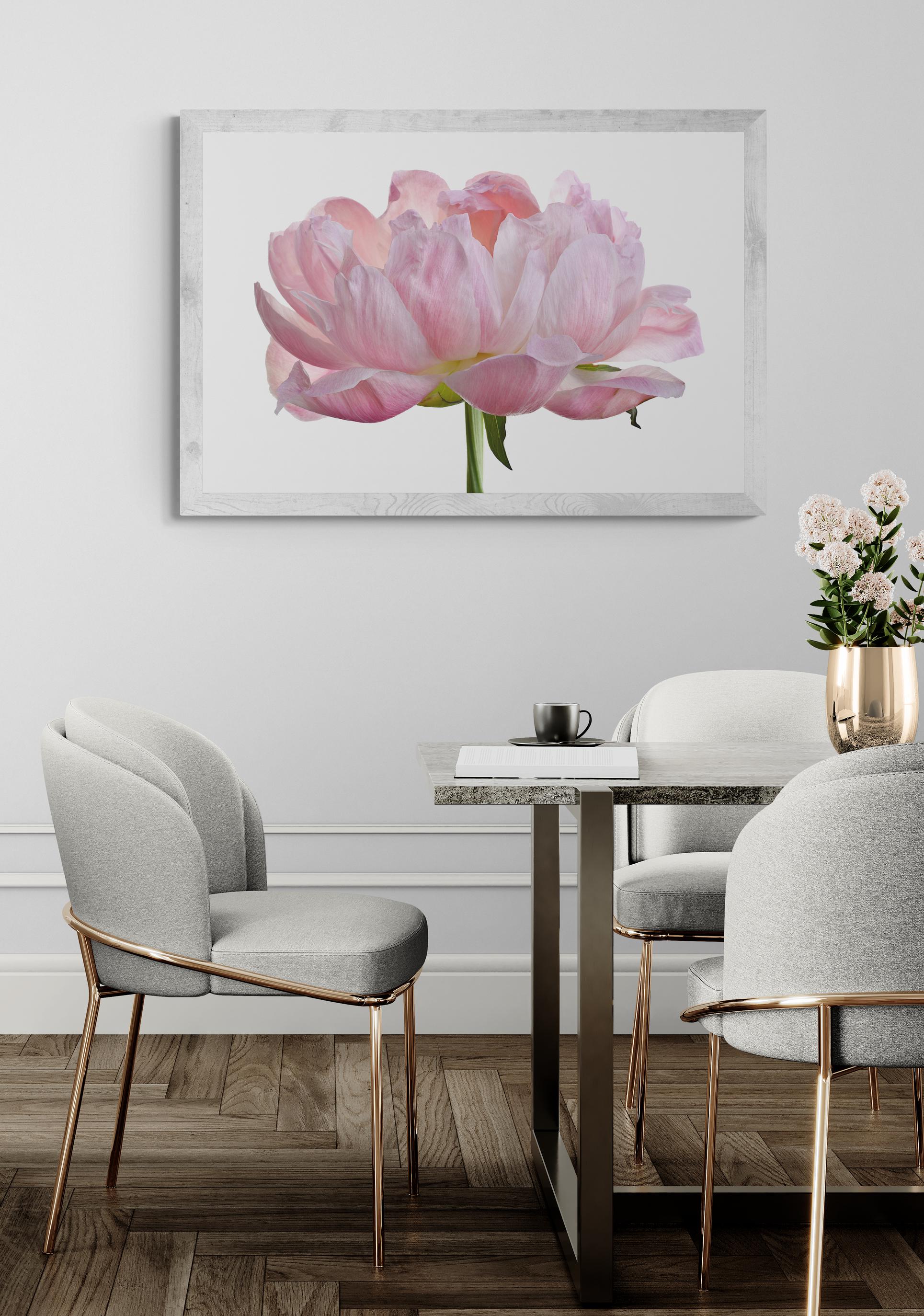 Pink Peony Flower Printable Wall Art - Downloadable Floral Print ...