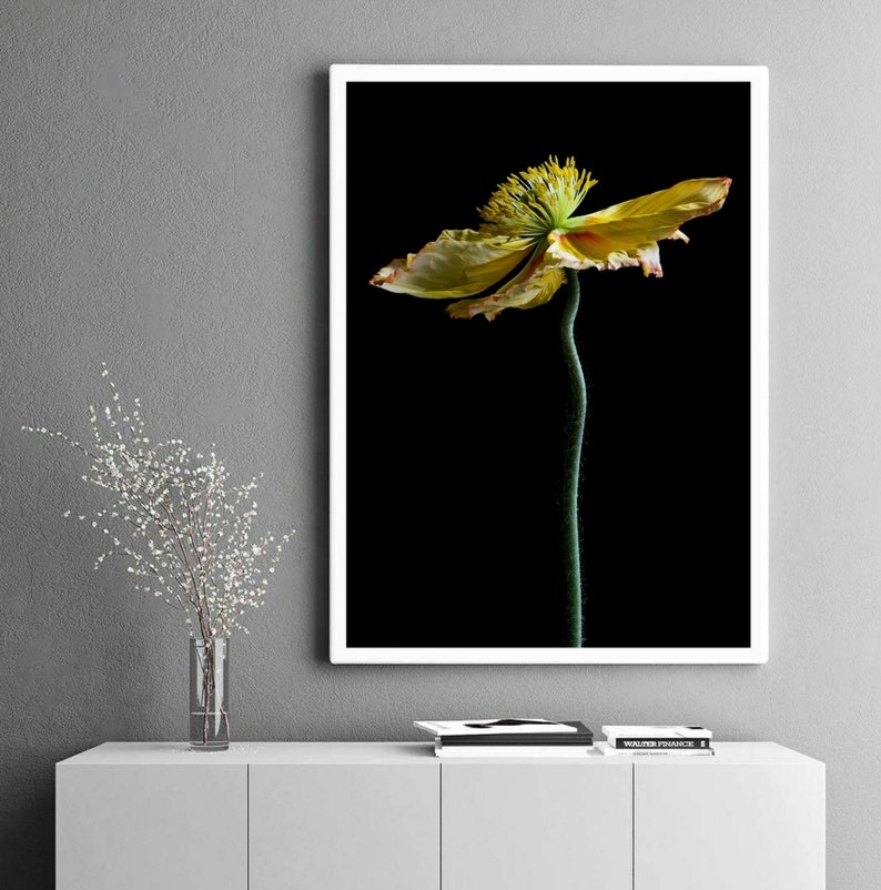 Yellow Poppy Flower Print ~ Still Life Botanical Artwork ~ Macro Nature Photograph ~ Moody Floral Wall Art ~ Modern Kitchen Decor ~ Fine Art