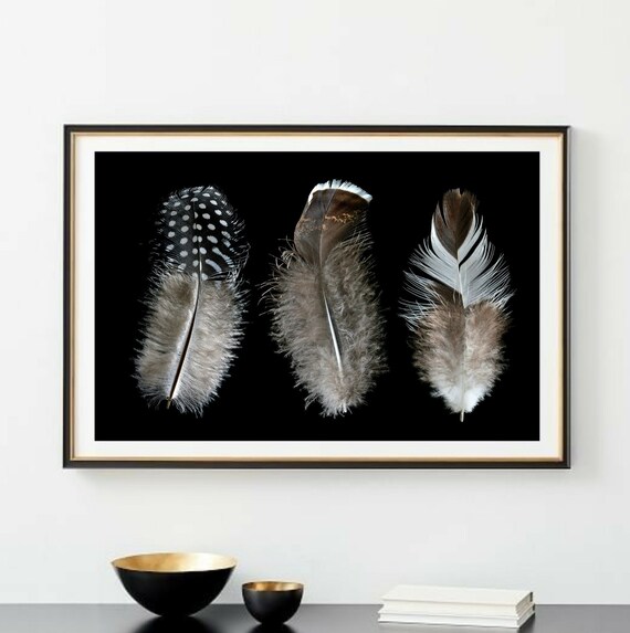 Printable Feather Wall Art Three Feathers Downloadable Print - Etsy