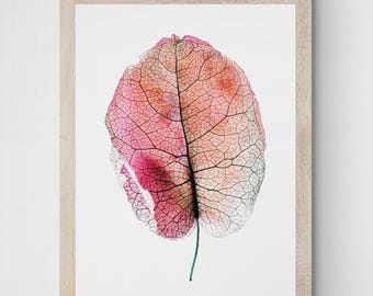 Pink Bougainvillea print - Bright botanical wall art - Nature Photography by Nadia Culph - Digital download