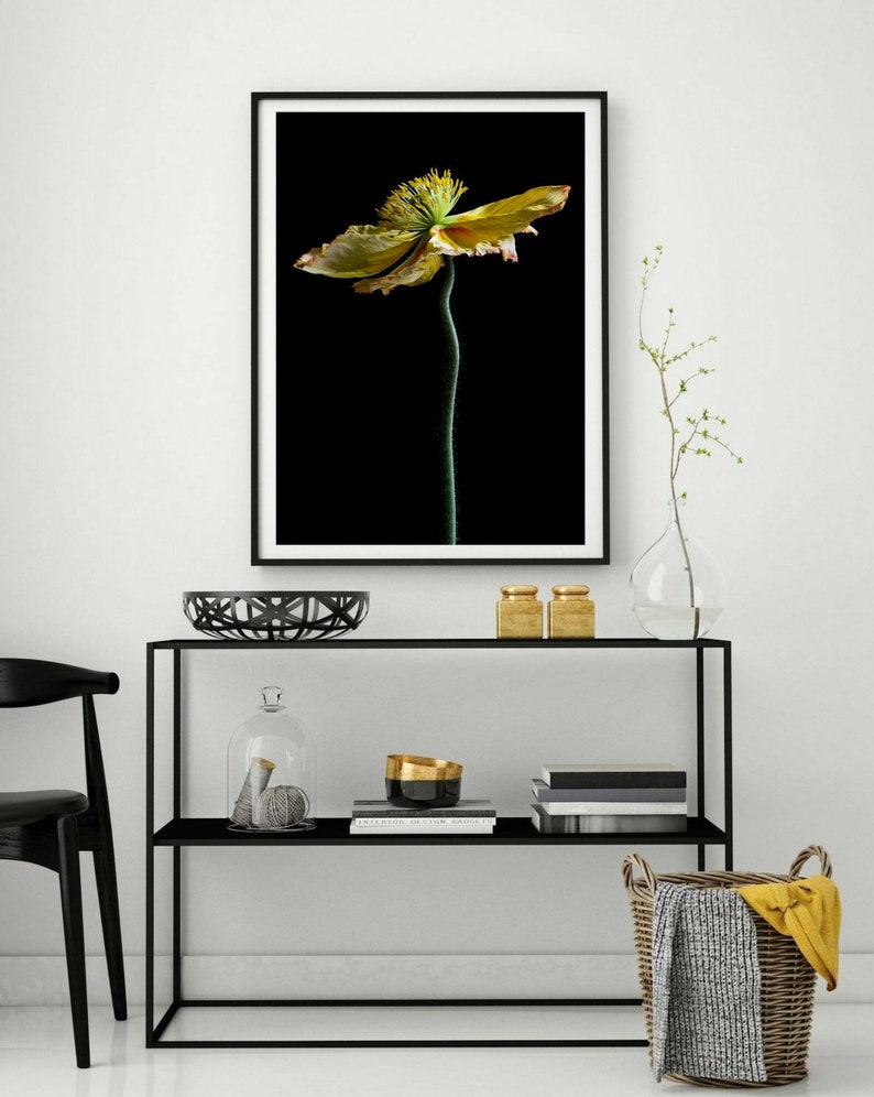 Yellow Poppy Flower Print ~ Still Life Botanical Artwork ~ Macro Nature Photograph ~ Moody Floral Wall Art ~ Modern Kitchen Decor ~ Fine Art