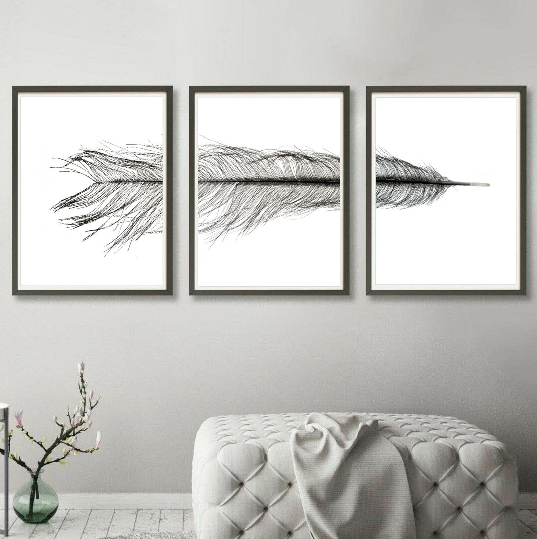 Printable Set of 3 Black &amp; White Feather Prints Downloadable - Etsy