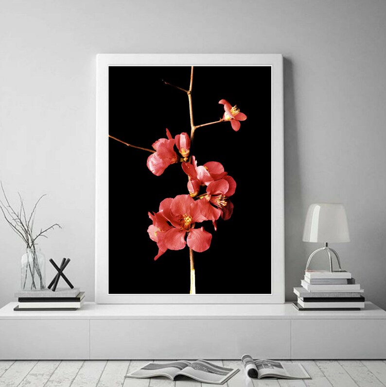 Red Floral Art Print Large Still Life Flower Photography Etsy