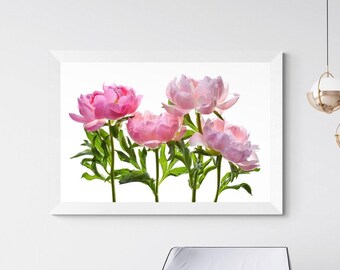 Pink Peonies printable wall art - Downloadable floral print - Digital download by Nadia Culph