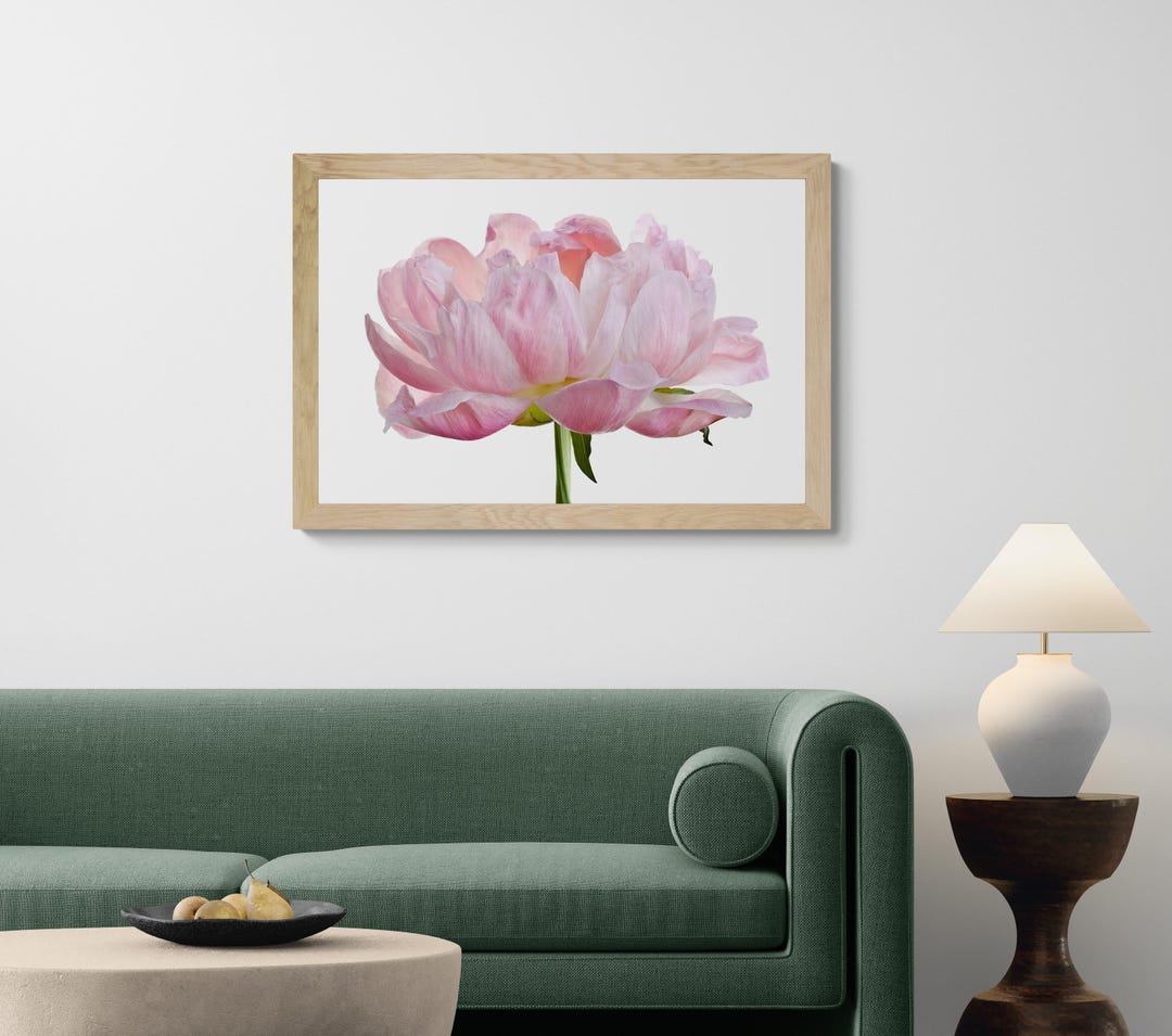 Pink Peony Flower Printable Wall Art - Downloadable Floral Print ...