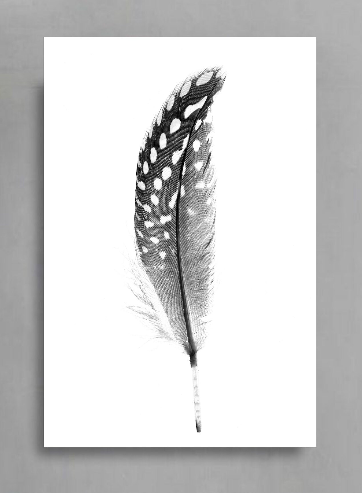 Feather Printable 6 Set Downloadable Gallery Wall Prints - Etsy