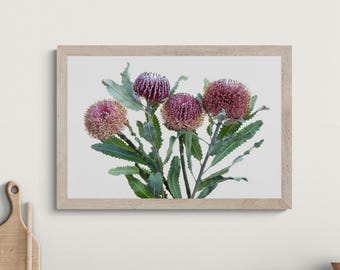 May include: A framed botanical print featuring four textured, deep purple and mauve pincushion protea flowers with serrated green leaves. The artwork is encased in a light-toned wooden frame, showcasing the intricate details of the floral arrangement.