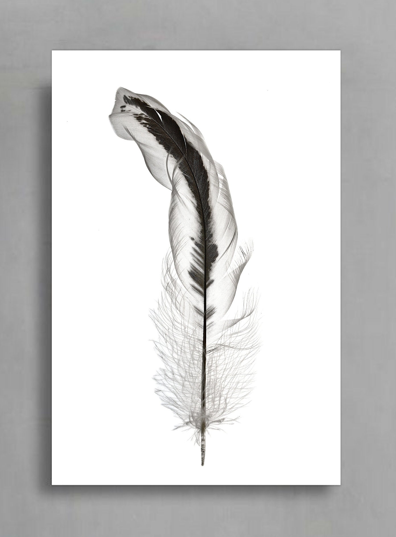 Black White Feather Art Printable Set of 2 Downloadable | Etsy