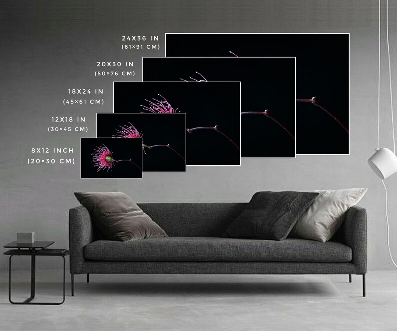 Downloadable Spotted Feather Prints Set Of Two Printable Etsy