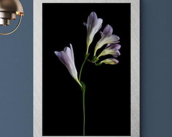 Purple Freesia photography print ~ Downloadable moody floral wall art ~ Digital download by Nadia Culph