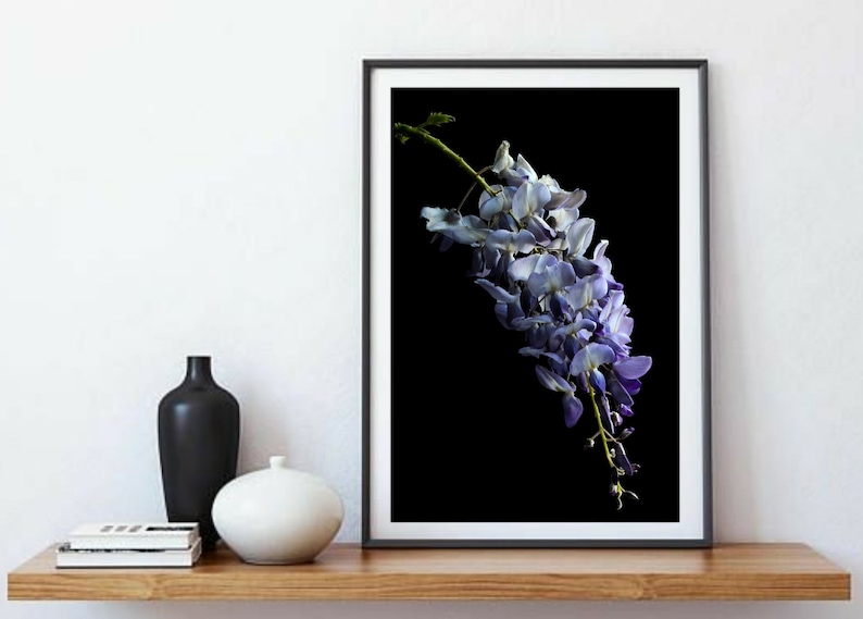 Wisteria Flower Photography Print ~ Purple /& Black Floral Artwork ~ Large Botanical Wall Art ~ Flowering Plant Picture ~ Vertical Fine Art