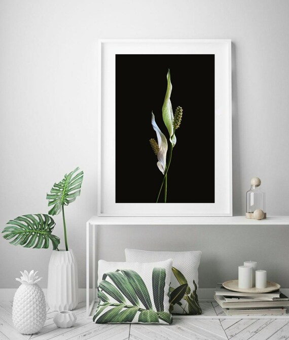 Peace Lily Print Large Elegant Wall Art For Dining Room Still Life Flower Photography White Black Fl Home Decor Botanical Artwork