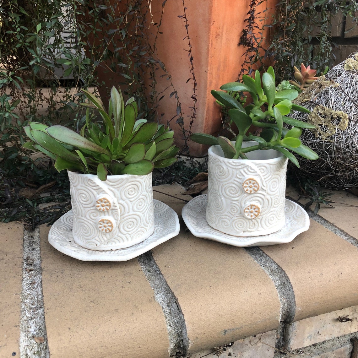 Coffee Cup Planters With Saucer Hand Built Ceramics Pots for Etsy