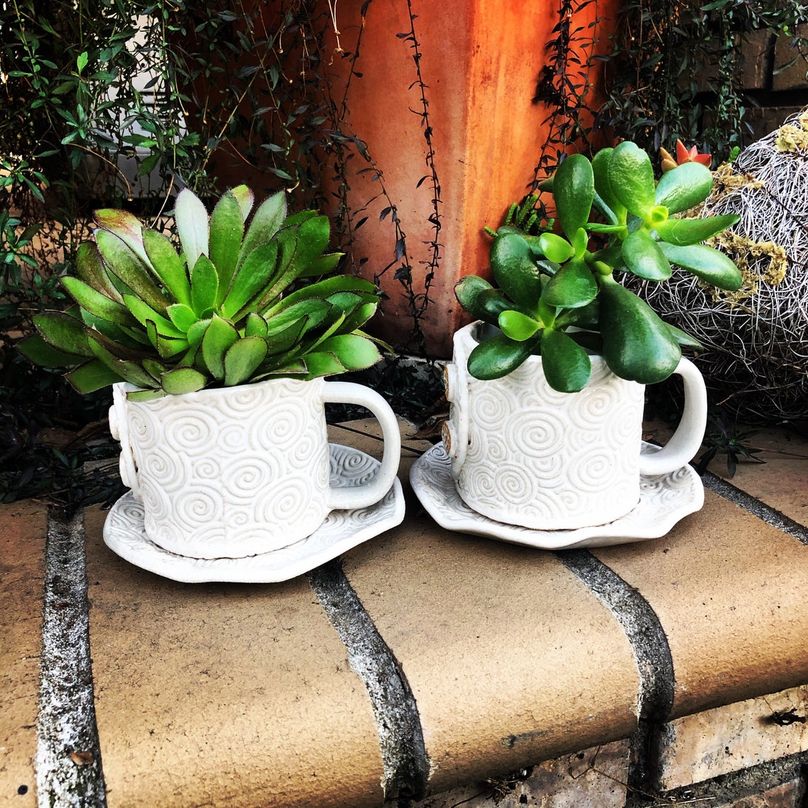 Coffee Cup Planters with Saucer Hand Built Ceramics Pots for Etsy