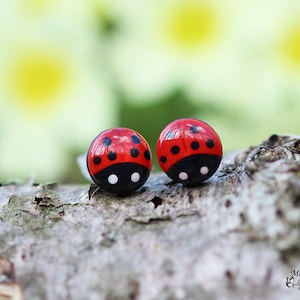 Ladybug Earrings, Titanium Earrings, Hypoallergenic, Red Stud Earrings, Lady Bug Studs, Little Girl Jewelry, Inspirational woman red gift image 1