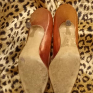 May include: A pair of pointed-toe heeled shoes in a reddish-brown color. The shoes are made of a smooth, soft material and have a pointed toe and a high heel.