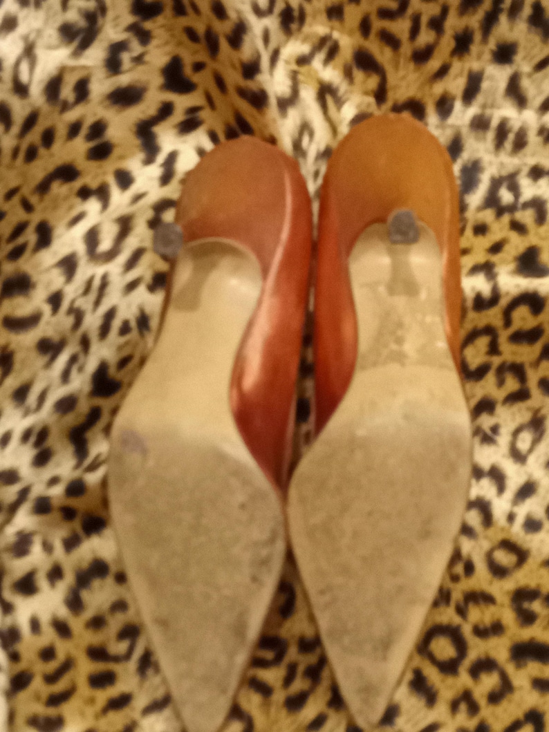 May include: A pair of pointed-toe heeled shoes in a reddish-brown color. The shoes are made of a smooth, soft material and have a pointed toe and a high heel.