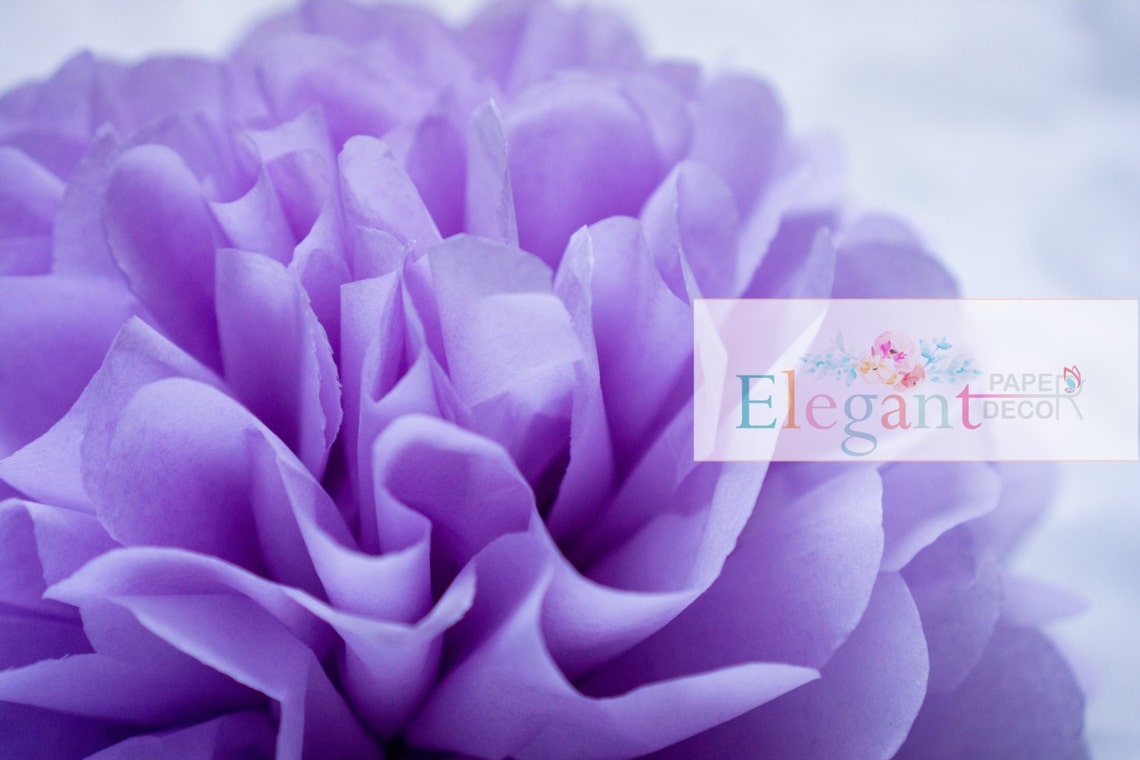 LILAC/ Single Pompom/ Tissue Paper Pom Pom Etsy