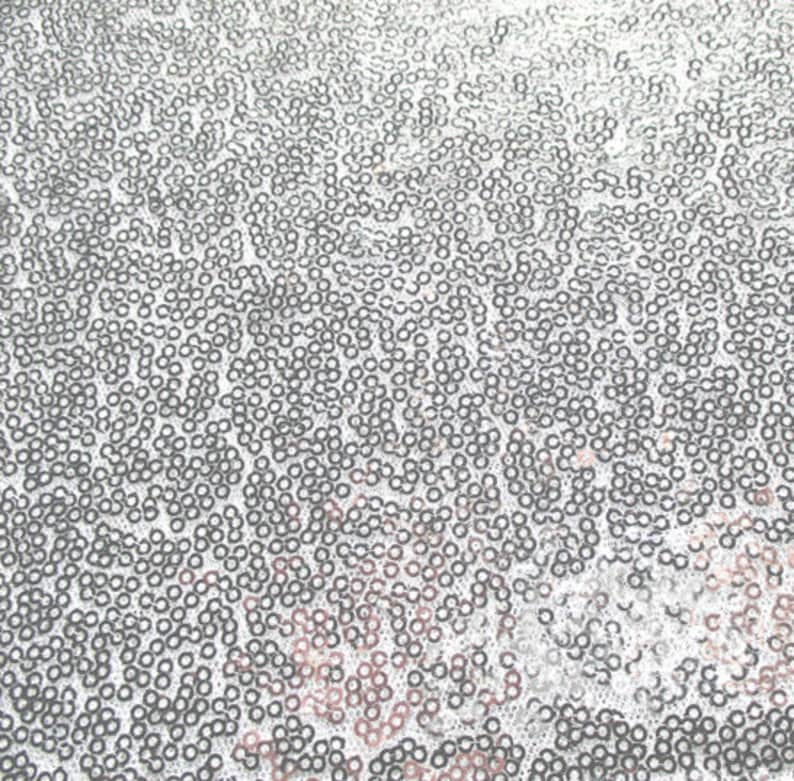 Puede incluir: Primer plano de una tela cubierta de peque&ntilde;as lentejuelas redondas plateadas. Las lentejuelas est&aacute;n densamente empaquetadas, creando una superficie brillante y texturizada. El efecto general es un material brillante y reflectante, adecuado para prendas de vestir o proyectos decorativos.