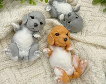 Perros reborn en venta hotsell