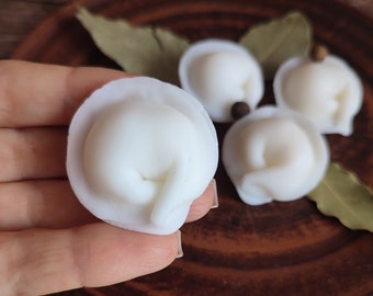 Mini Real Dumpling Silicone Mold Soap Candle Wax Plaster Polymer clay Mould Fake Food Delicious food photo Props