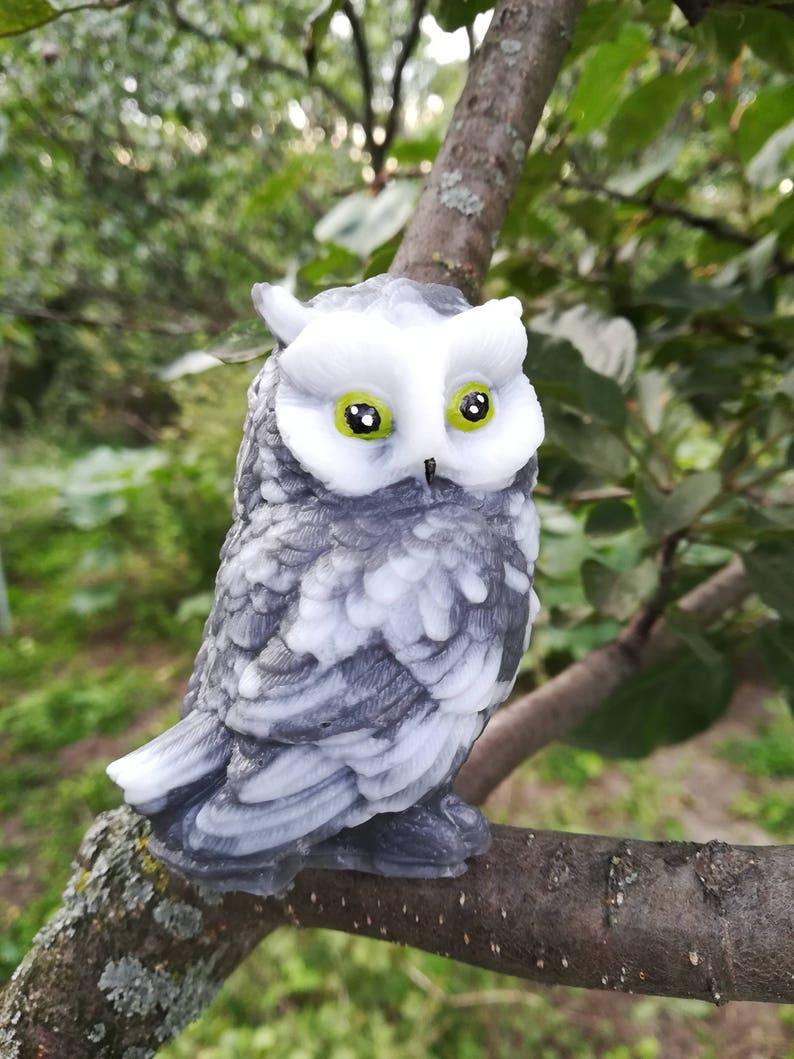 3d Owl Mold Owl Silicone Mold for Soap Garry Potters Owl Etsy