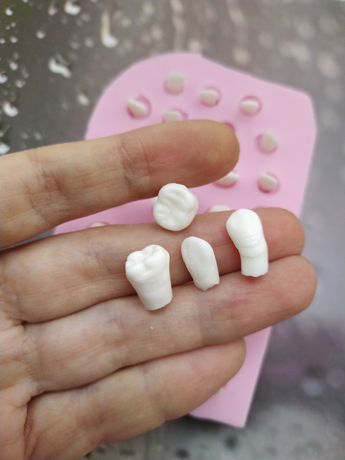 Fake Human Teeth Tooth Mould Silicone Teeth Mold Dentist Mould Etsy UK