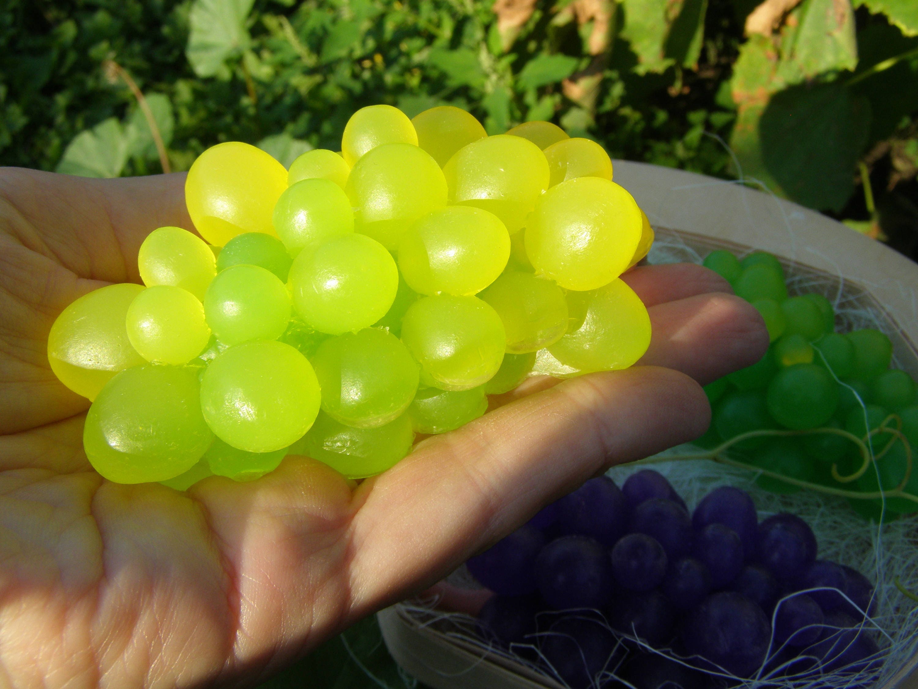 3d Grapes Mold Grapes Cluster Soap Mold Fruit Grapes Silicone Etsy