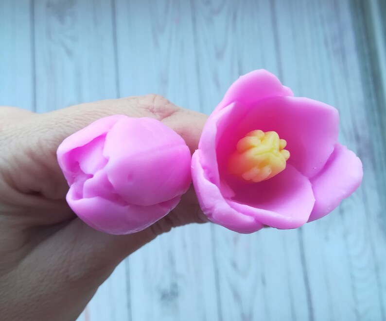 Tulip Mold My Passion Tulips Mold 2 molds of Tulip Bouquet of Etsy