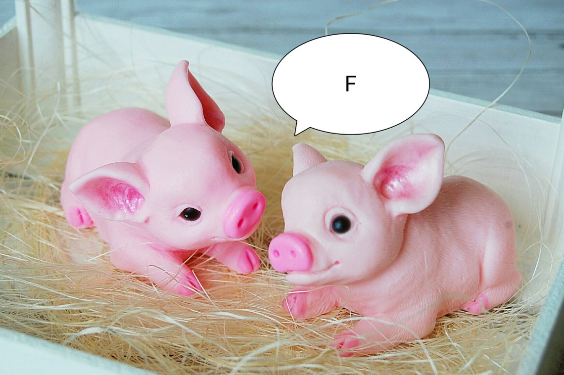 Fanny Pig Mold 3d Pigs Molds 3d Silicone Mold Pig 3d Piggy Etsy