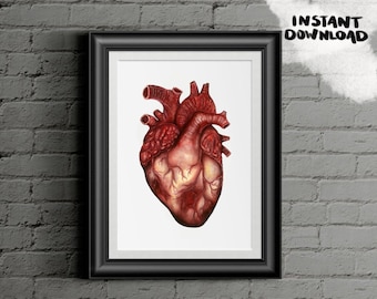 Human Heart Anatomy: Anatomical Poster, Watercolor Art, Tattoo Design, Doctor Office Wall Art Print, Valentines Day, DIGITAL
