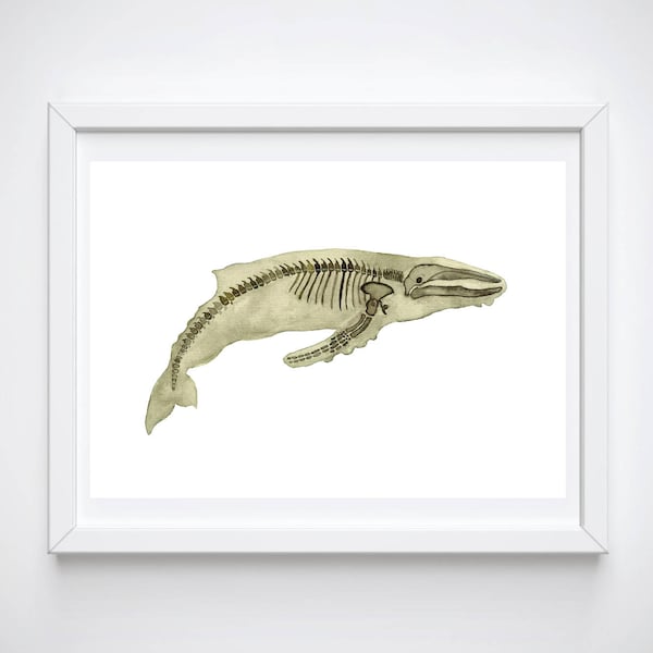 Wal Kunstdruck | Haustier Geschenk Wanddekoration | Zoologie Ozean Wissenschaft Anatomie Skelett | Hipster Poster Kunstwerk Fisch Tier Illustration Ichthyologie