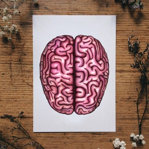 Brain Anatomy Postcard: Anatomical Card, Unique Medical Watercolor Human Illustration image 1