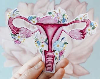 Floral Uterus Anatomie Aufkleber: Blühende feministische Slaps, große oder kleine Laptop Aufkleber, Aquarell Biologie Kunstwerk