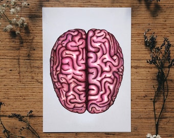 Brain Anatomy Postcard: Anatomical Card, Unique Medical Watercolor Human Illustration