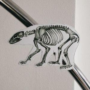 May include: A black and white illustration of a bear skeleton on a white background.