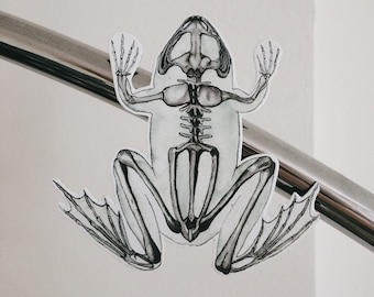 May include: A black and white illustration of a frog skeleton. The frog is depicted in a sitting position with its legs outstretched. The illustration is on a white background.