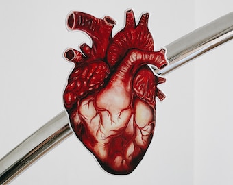 Human Heart Fridge Magnet: Anatomy Art, Anatomical Gift, Gothic Magnet