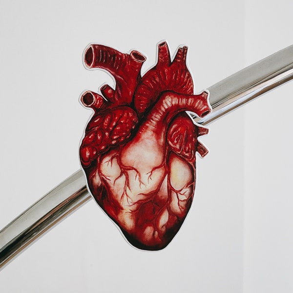 Human Heart Fridge Magnet: Anatomy Art, Anatomical Gift, Gothic Magnet