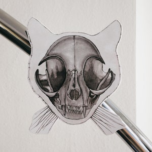 May include: A black and white illustration of a cat skull with a detailed drawing of the teeth and bone structure.
